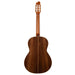 Godin Collection Nylon String Guitar