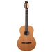 Godin Collection Nylon String Guitar