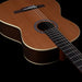 Godin Collection Nylon String Guitar