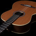 Godin Collection Nylon String Guitar