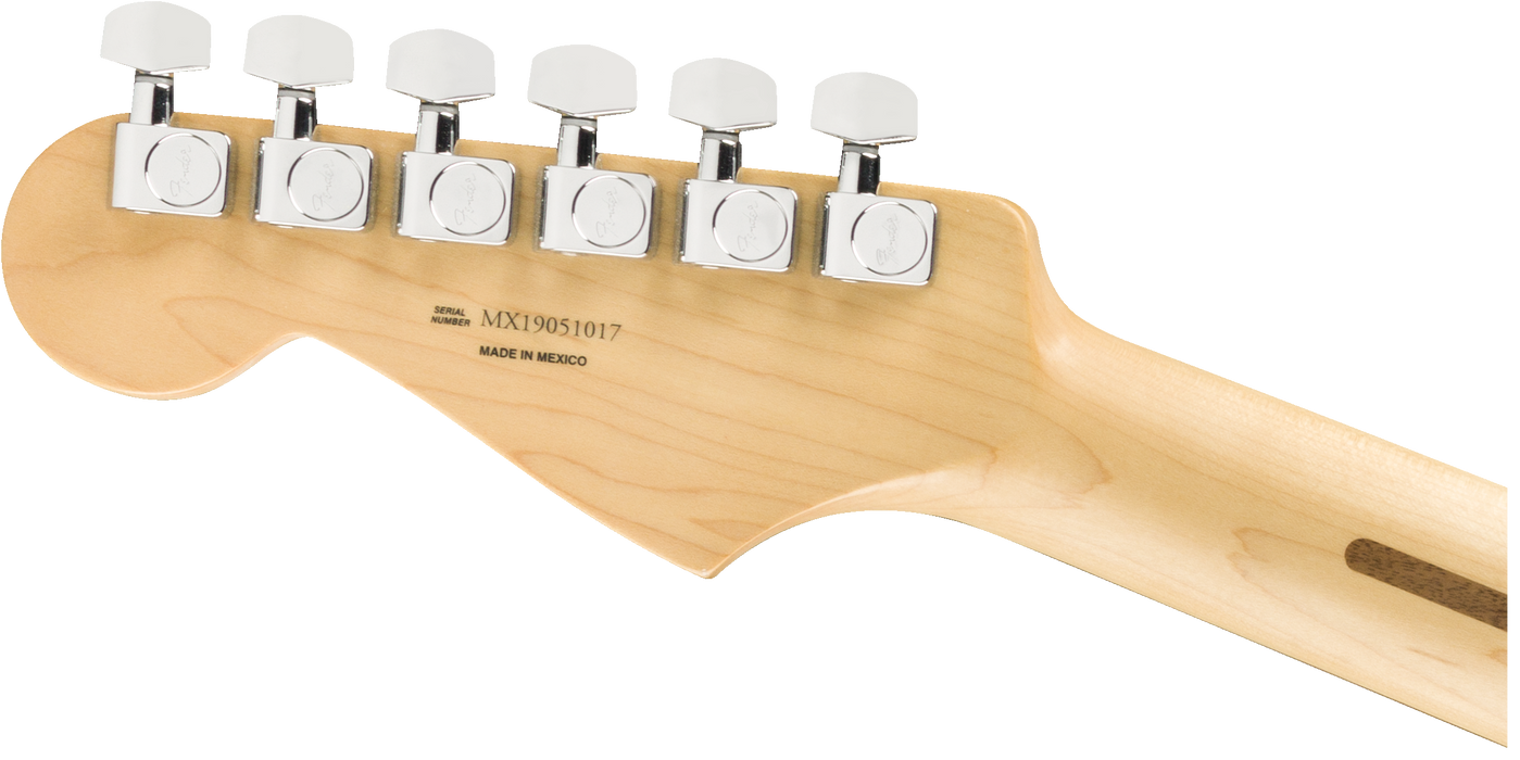 Fender Player Stratocaster®, Pau Ferro Fingerboard, Silver - Guitar Warehouse