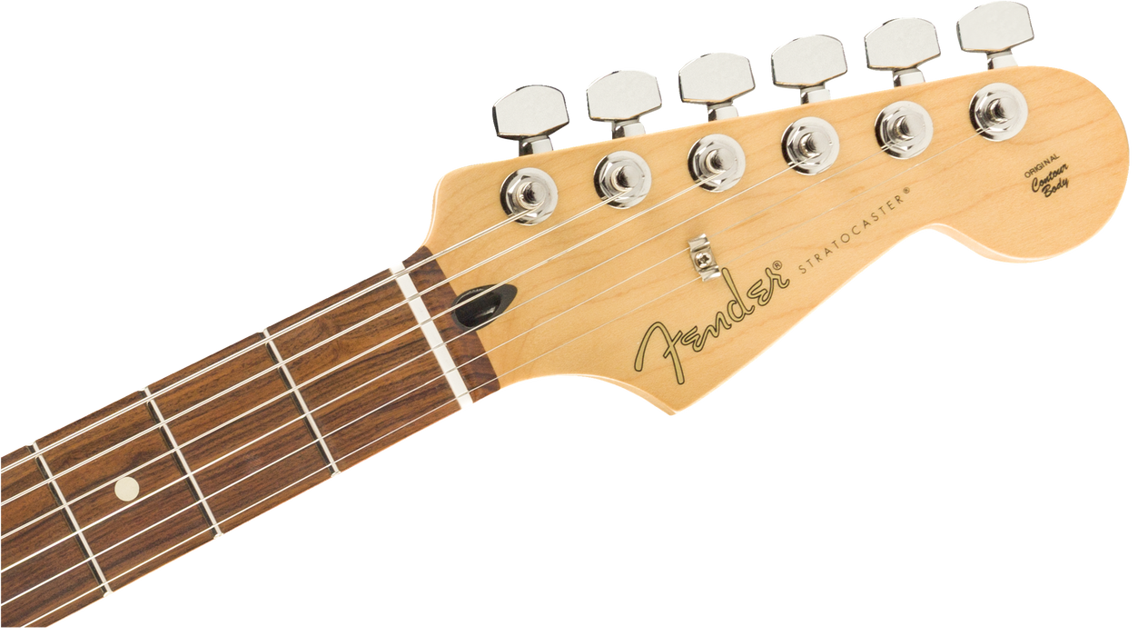 Fender Player Stratocaster®, Pau Ferro Fingerboard, Silver - Guitar Warehouse