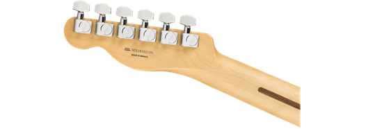 Fender Player Telecaster® Maple Fingerboard - Black - Guitar Warehouse