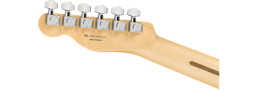 Fender Player Telecaster® Maple Fingerboard - Butterscotch Blonde - Guitar Warehouse