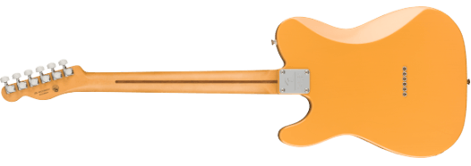 Fender Player Plus Nashville Telecaster®, Maple Fingerboard, Butterscotch Blonde - Guitar Warehouse