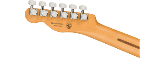 Fender Player Plus Nashville Telecaster®, Maple Fingerboard, Butterscotch Blonde - Guitar Warehouse