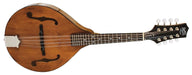 Barnes & Mullins Mandolin - Wimborne Model - Guitar Warehouse